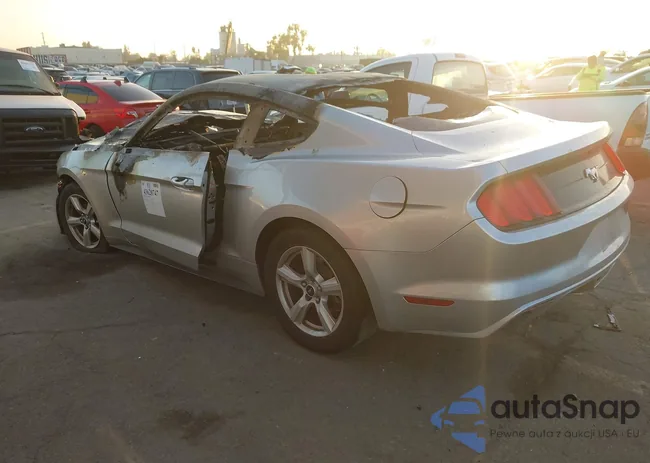 1FA6P8AM6G5225743: 43620747