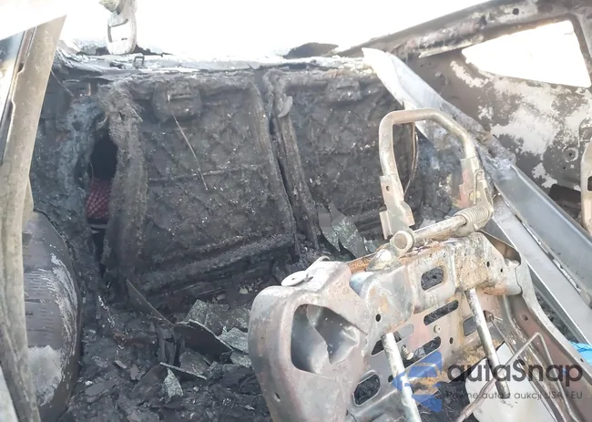 1FA6P8AM6G5225743: 43620747