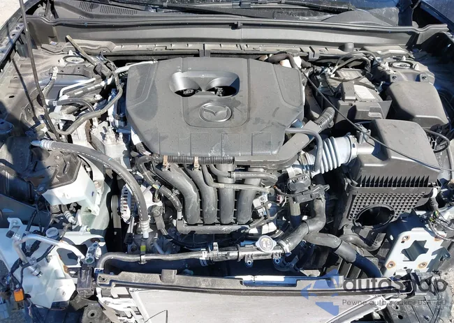 3MVDMBCM1PM574354: 43621606