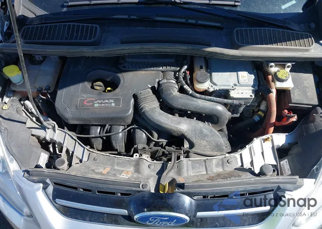 1FADP5CU0FL114103: 43621645