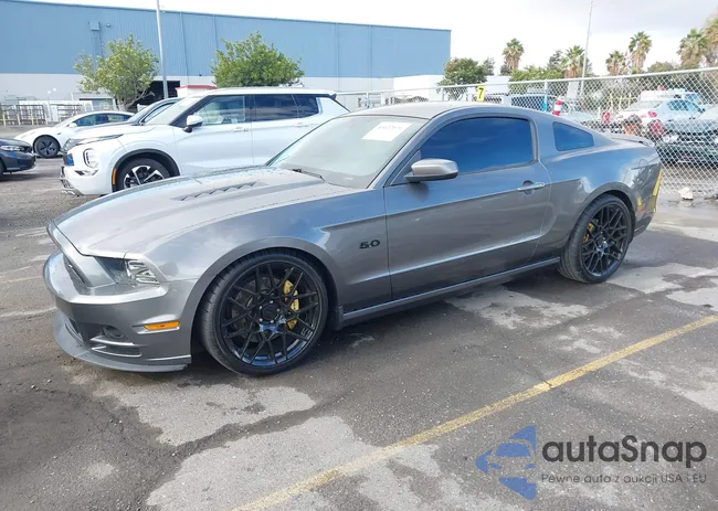 1ZVBP8CF0D5279975: 43622571