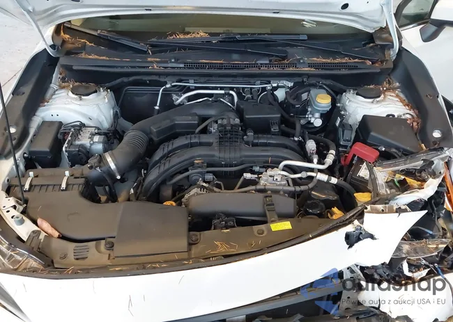 JF2GTAMC1K8301205: 43623549