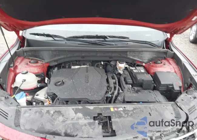 5XYRG4LC3PG206854: 43625519