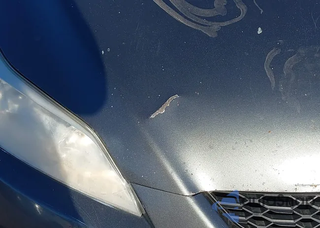 2T1LE40E89C005564: 43625053