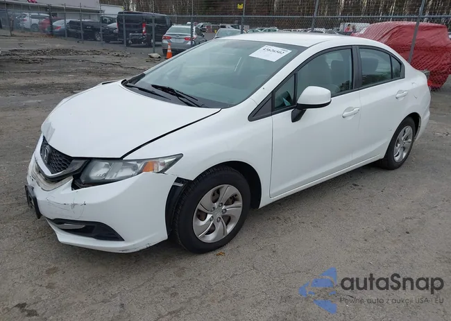 2HGFB2F59DH594870: 43626502