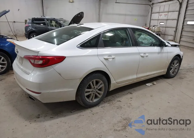 5NPE24AFXGH312169: 43628319