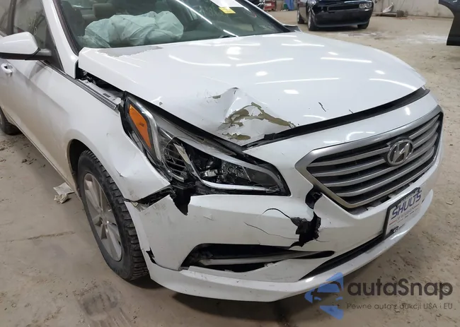 5NPE24AFXGH312169: 43628319