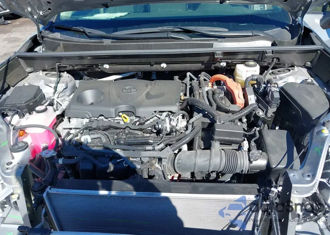 JTMLWRFV0PD173975: 43628574