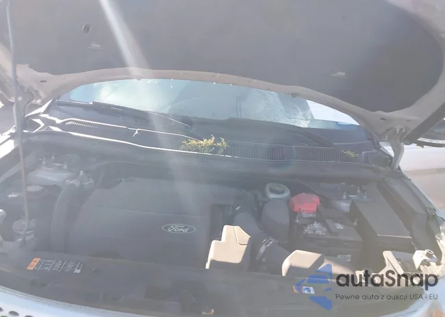 1FM5K8D8XDGC23038: 43628657