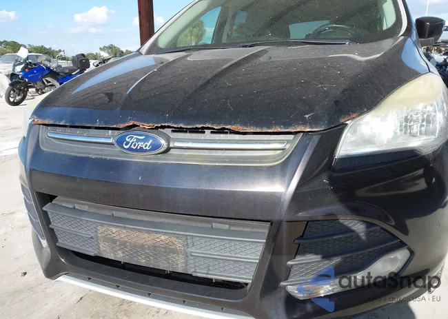 1FMCU9G99DUB85363: 43628229