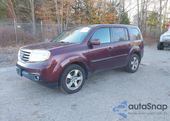 5FNYF4H56CB018677: 43629009