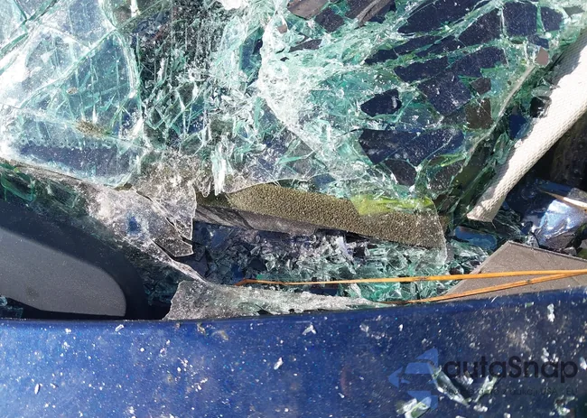 1N4AA5AP0EC912021: 43629071