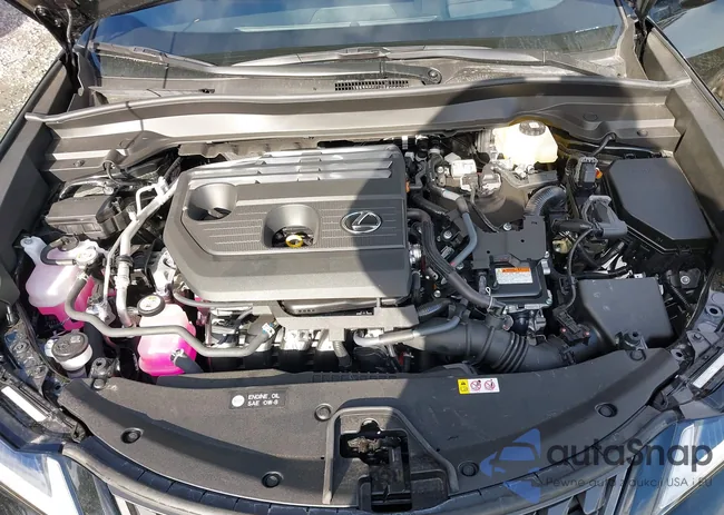 JTHUCJDH1S2011481: 43631395