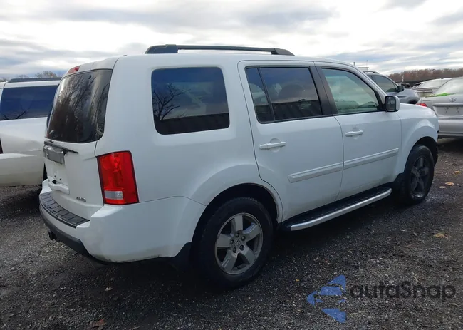 5FNYF4H54BB105346: 43631597