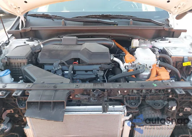 KNDPZDDH1S7231608: 43631084