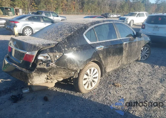 1HGCR2F78DA282618: 43634041