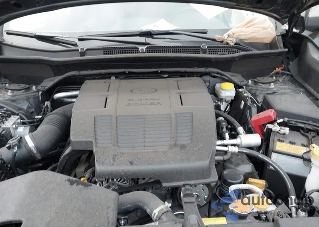 JF2SKANC8PH499042: 43636601