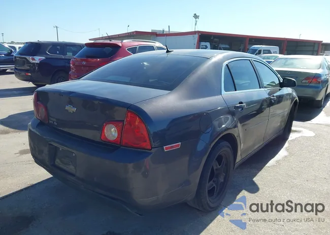 1G1ZB5E16BF107191: 43635993