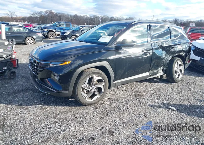 5NMJECAE4PH238994: 43637740