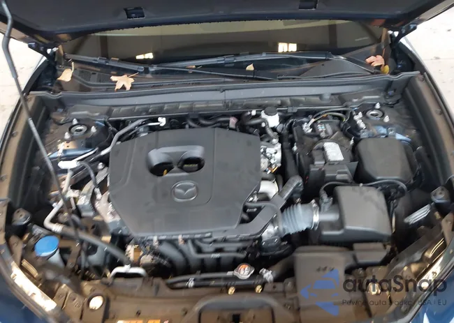 3MVDMBDMOPM567796: 43640350