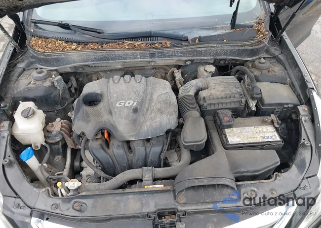 5NPEC4AC2DH547566: 43640607