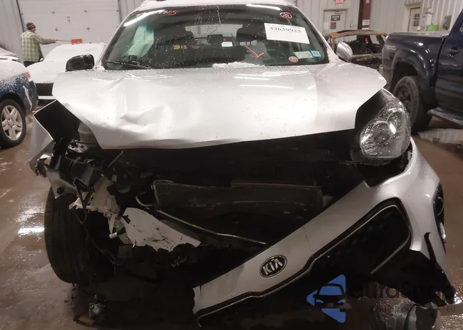 KNDPMCACXJ7363556: 43639925