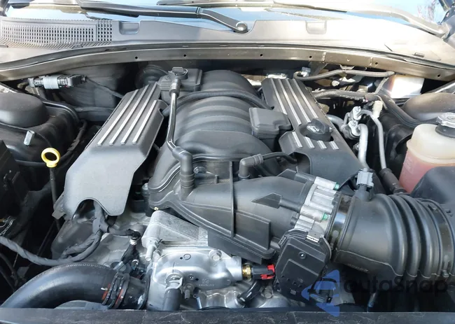 2C3CDXGJ5PH561782: 43641761