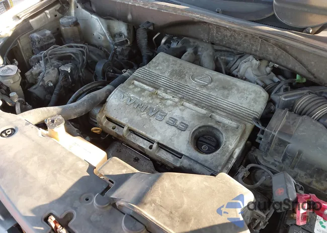 2T2GA31U94C010659: 43641216