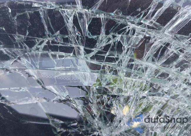 3FA6P0D98LR151953: 43643600