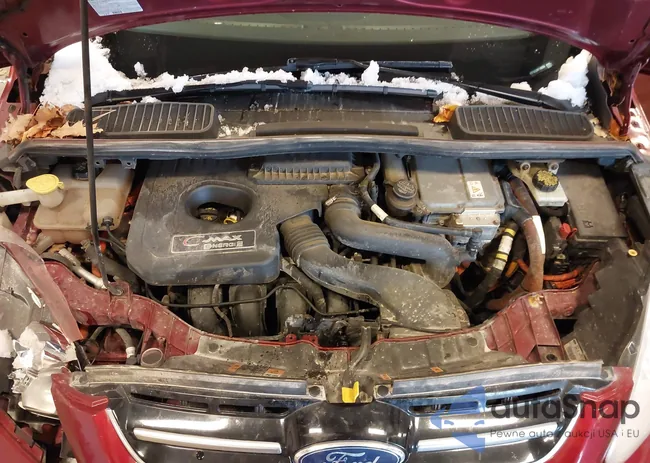 1FADP5CU2FL100204: 43643790