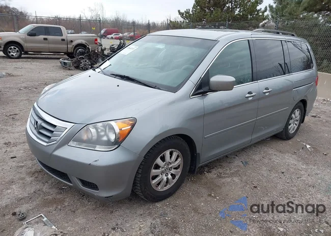 5FNRL38458B018868: 43644315