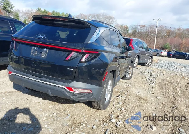 5NMJBCAE7PH263008: 43645427