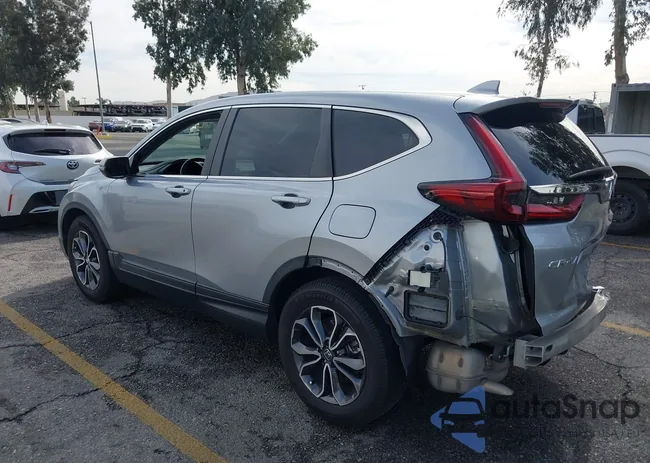 7FARW1H81LE010987: 43646996