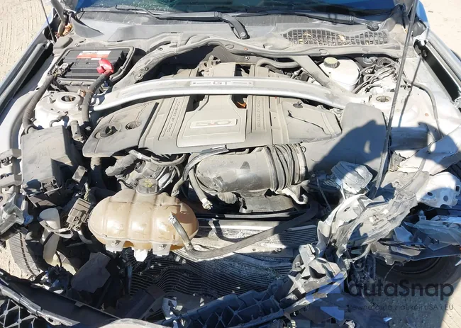 1FATP8FF4K5151941: 43647018