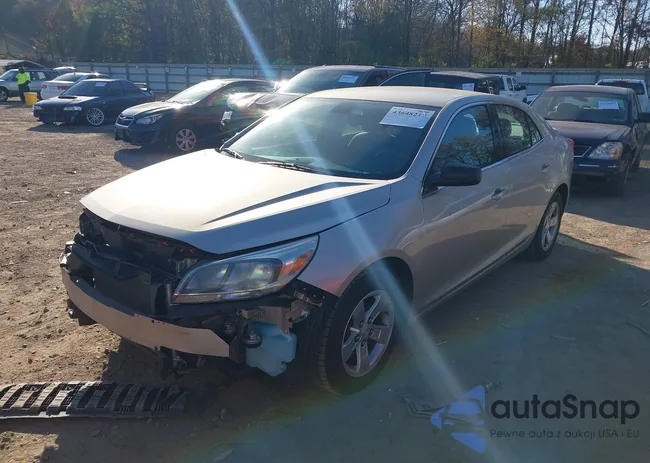 1G11B5SL5FF191366: 43648217