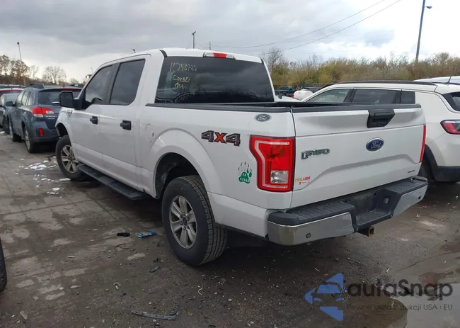 1FTEW1E84FFC72887: 43650487