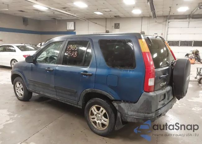 SHSRD78894U236645: 43650598