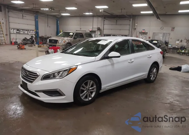 5NPE24AF4HH493013: 43650671