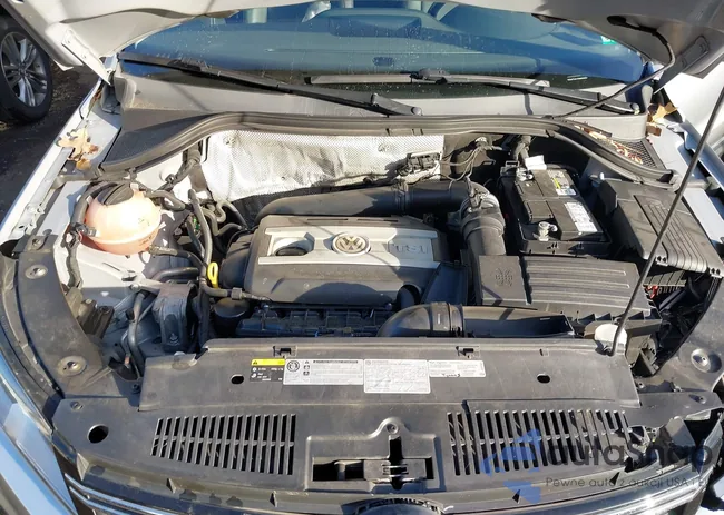 WVGAV7AX1FW563554: 43651248