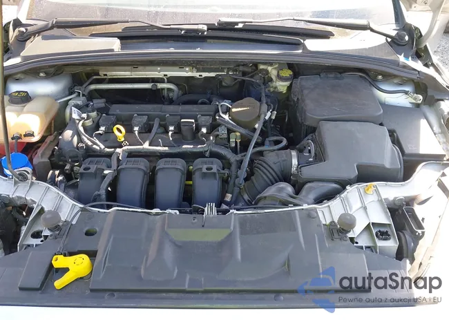 1FADP3F2XGL249265: 43651335