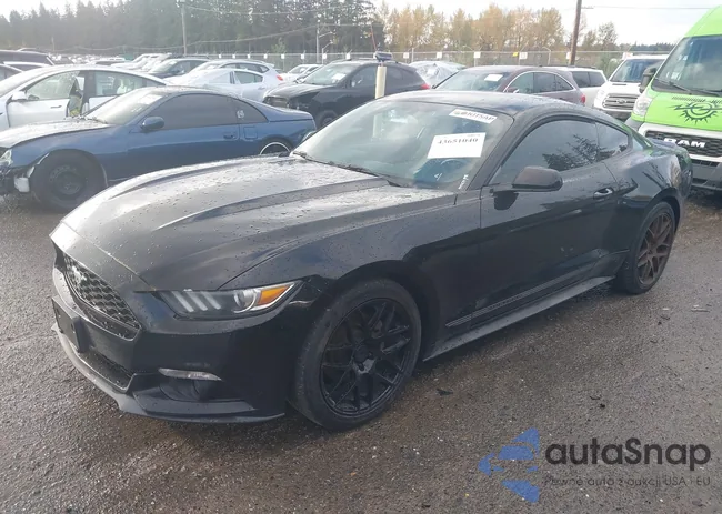 1FA6P8TH1F5396639: 43651040