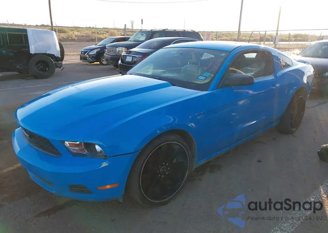 1ZVBP8AM4C5208164: 43652612