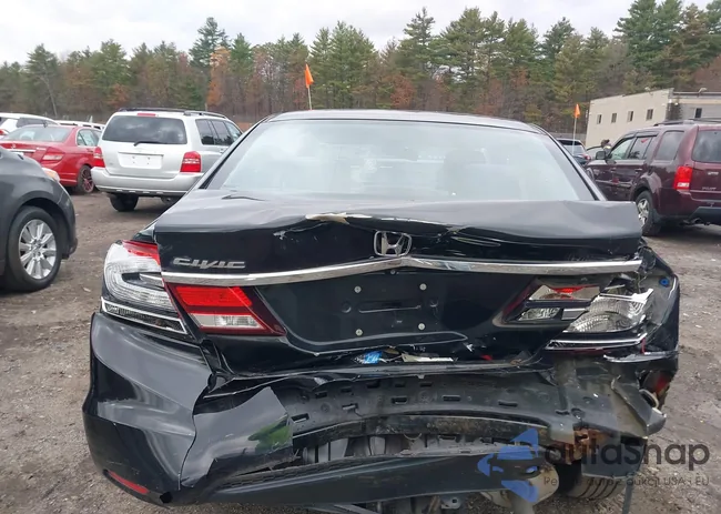 2HGFB2F58EH558511: 43651919