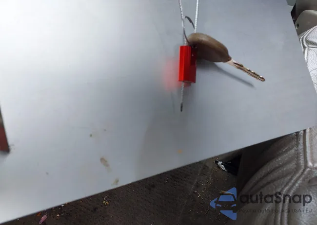 2C4GP54L55R390733: 43651972