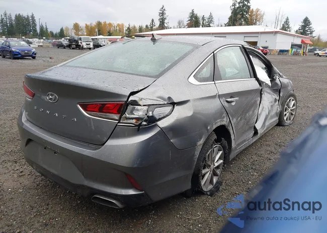 5NPE24AF5KH757525: 43653100