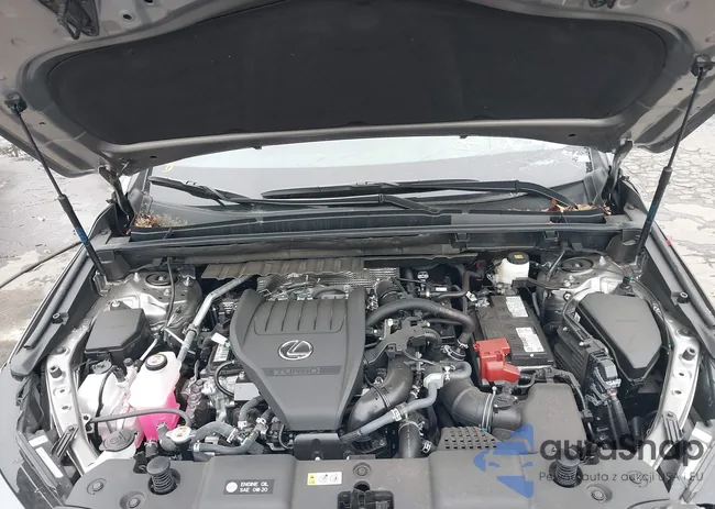 2T2GGCEZ5SC082623: 43656898