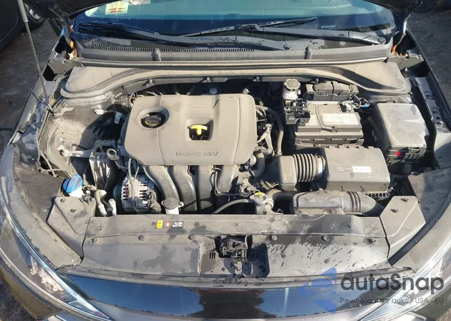 5NPD74LF3KH493196: 43658006