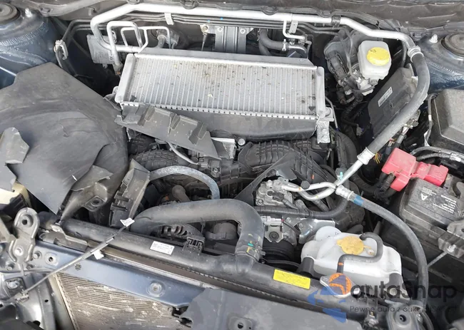 4S4WMAWDXP3429536: 43659466