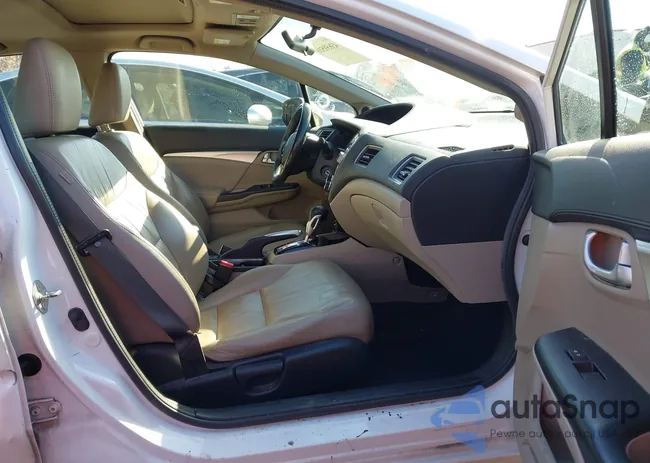 19XFB2F94DE207008: 43659516