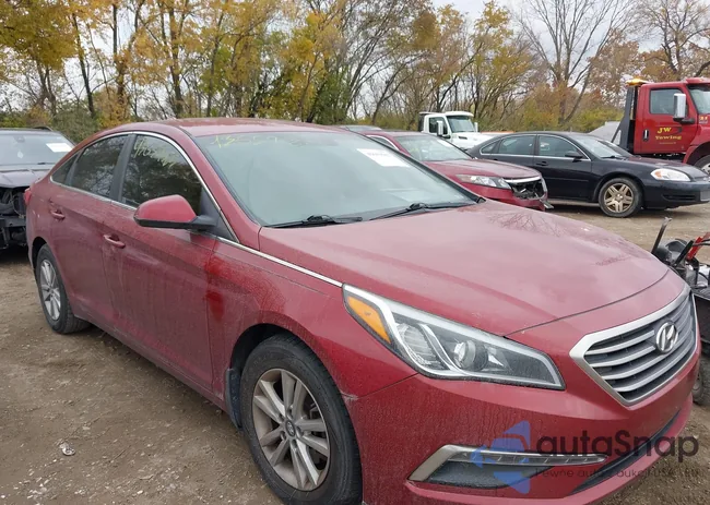 5NPE24AF8FH110347: 43659583